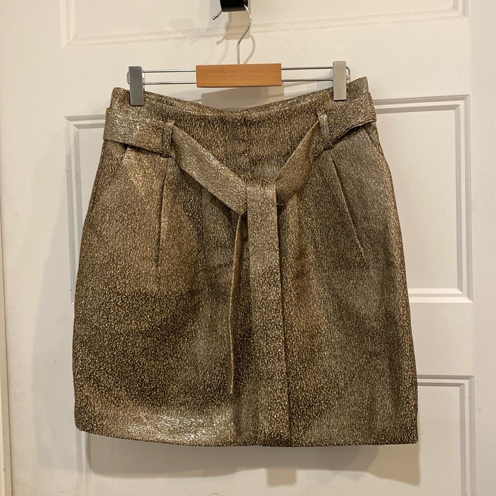 Frnch paris skirt